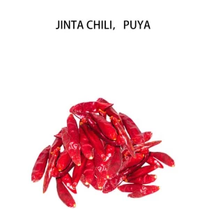 Jinta Chili,Puya