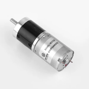 Shunli motor GMP24M370 3V 6V 12V 24V 6mm Diameter Customized Shaft OD