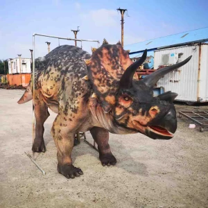 Walking with animatronic hidden legs Triceratops two person dinosaur costume