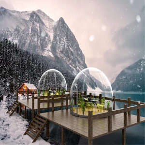 Outdoor Waterproof Transparent Pc Glass Room Wedding Party Event Camping Hotel Clear Glamping Garden Igloo Geodesic Dome Tent