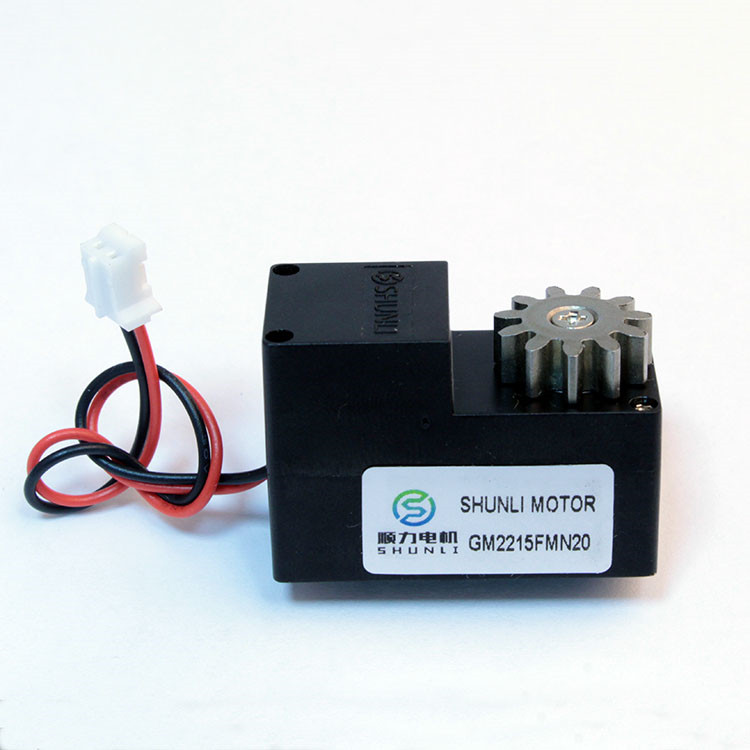 Shunli Patent Motor 2.5kg 3kg DC Gear Motor 80RPM 100RPM Small Battery  Designed Motor For Lock