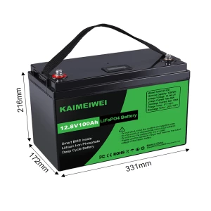 12V 100Ah LiFePO4 Deep Cycle Battery, Rechargeable Lithium Iron Phosphate Battery