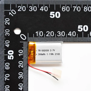 Taiwoo Lithium Ion Battery 602030 3.7V 300mah Lipo Battery Silver TW 1 Year,one Year CN;GUA