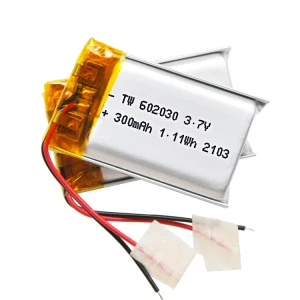 Taiwoo Lithium Ion Battery 602030 3.7V 300mah Lipo Battery Silver TW 1 Year,one Year CN;GUA