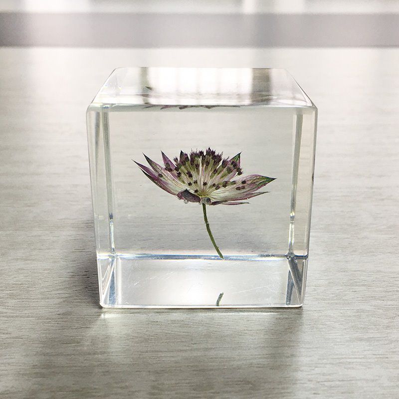 Square Acrylic Dried Flower Paperweight