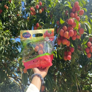 Custom Fruit and produce punched air permeable bags