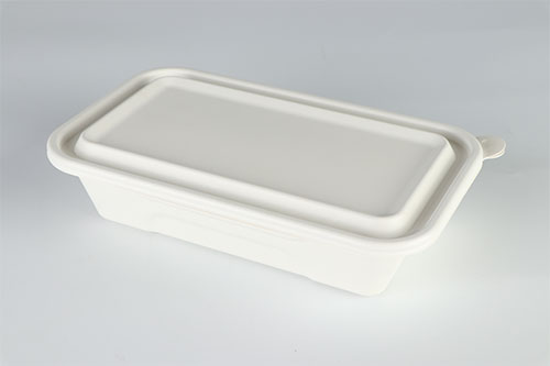 Gray single grid biodegradable lunch box