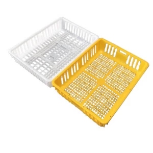 High Quality Plastic Transport Bird Cages for Live Chickens Plastic Chicken Transport Cage Crates Poultry Transport Box