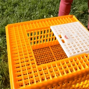 Agricultural Livestock Foldable Plastic Crates for Chicken Transportation Crate,Live Chicken Transport Cage