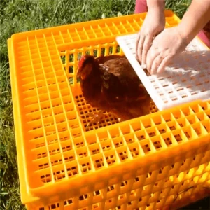 Agricultural Livestock Foldable Plastic Crates for Chicken Transportation Crate,Live Chicken Transport Cage