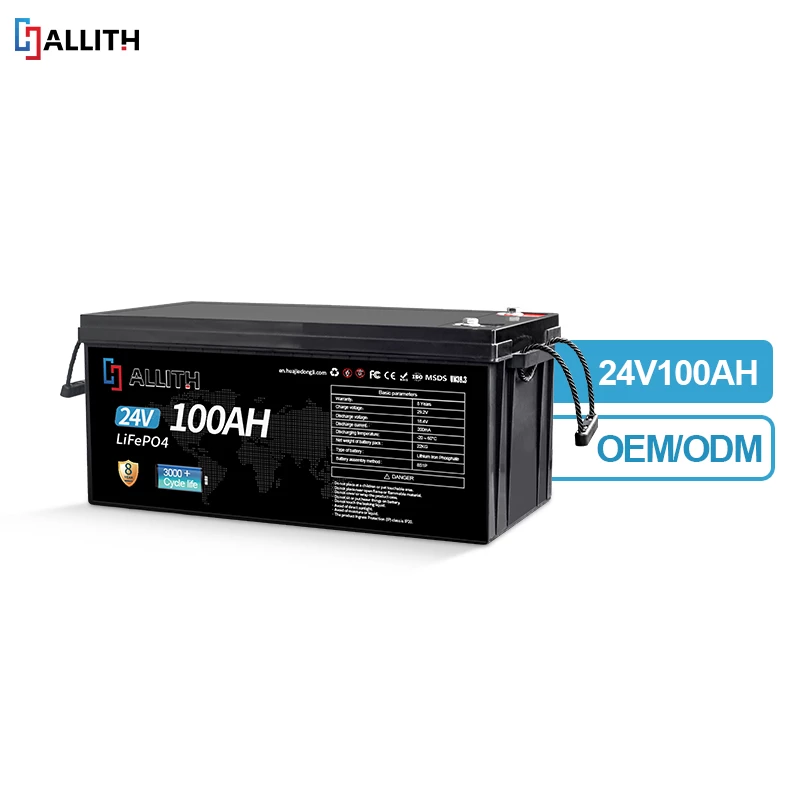 24V 100AH Power Lithium Batterij Diepe Cyclus LiFePO4 Batterijen