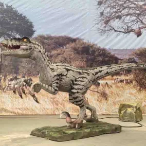 Outdoor Theme Park Vivid Animatronic Dinosaurs Velociraptor With Movement