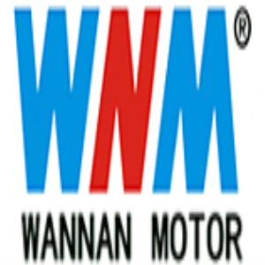 Wannan motor