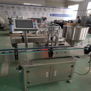 HL-RP1H Automatic Single One Head Rotor Lobe Pump Liquid Sauce Food Thick Paste Filling Machine