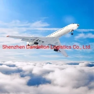 Air Cargo Freight Forwarder Logistics Shipping From China to Denmark