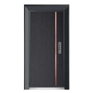 Main Reinforced Exterior Security Steel Door