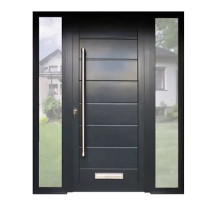 Modern Front Entry Pivot Door with Exterior Side Glass for House Villa