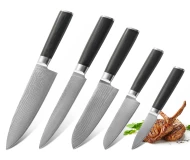 VG10 Damascus Steel 5 Pieces Kitchen Japanese Style Knife Set with Micarta Handle