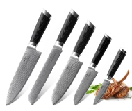 67 Layers Damascus Steel 5 Pieces Kitchen knife set with Pakka Wood Handle