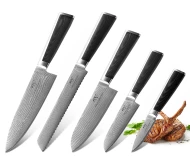 Damascus Steel 5 Pieces set of kitchen knife chef with Micarta Handle