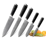 High Quality Damascus Steel 5 Pieces Kitchen Knife Set with Pakka Wood Handle