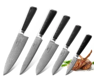 VG10 Damascus Steel 5 Pieces Kitchen Japanese Style Knife Set with Micarta Handle