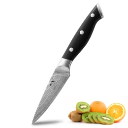 3.5 inch Damascus Steel Professional Kitchen Knives Fruit Paring Knife Peeling Kinfe with ABS Handle