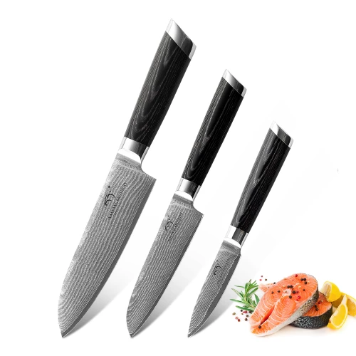 3 Pieces Kitchen Knives Set Multi-Functional Cooking Tools Damascus Steel Wholesale Knife Sets with Wood Handle