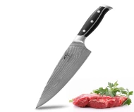 67 layer Damascus VG-10 Steel Chef Knife High Quality Cooking Knife with ABS Handle