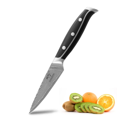 Multifunctional Fixed Blade Fruit Knife Handmade Damascus 3.5 Inch Paring Knife