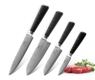4 Pieces Damascus Steel Kitchen Knife Set with Micarta Handle