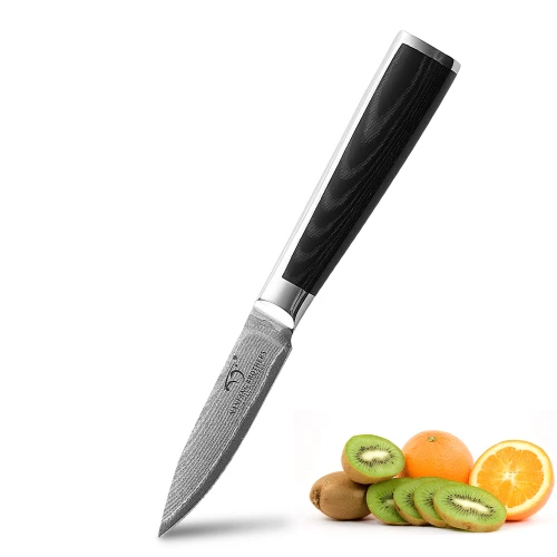 3.5 Inch  Damascus Steel VG-10 Fruit Cutting Knife High-end Paring Knife