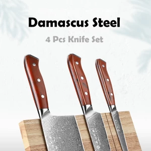 4 Pieces Damascus Steel VG10 Kitchen Knives Knife Set for Kitchen with Wooden Magnetic Knife Holder