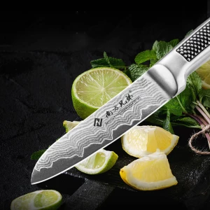 Factory Direct Damascus Steel Kitchen Knives Sharp Practical Paring Knives with Stainless Steel Handles