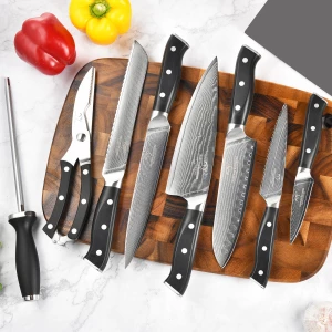 9 pieces Damascus VG-10 steel High Carbon Kitchen Knives Chef Knife Kitchen Knife Set with ABS Handle