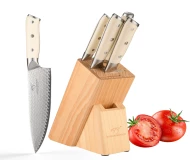5 Pieces Professional Kitchen Knives Damascus Steel Kitchen Knife Set with Wooden Block