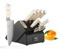 10 Pieces Professional Knife Set Damascus Steel 67 Layers Kitchen Knife Set with Wooden Block