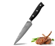 5.5 Inch Kitchen Utility Knife 67 Layers Damascus VG-10 Core Safety Utility Steak Knife