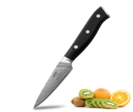 Cooking Paring Knife Daily Damascus VG-10 Peeling Tools Fruit Knife