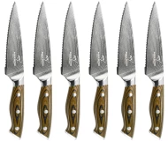 6 Pieces Damascus Steel Kitchen Knives Professional Serrated Steak Knife Set with G10 Handle