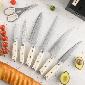 10 Pieces Professional Knife Set Damascus Steel 67 Layers Kitchen Knife Set with Wooden Block