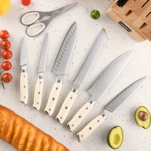 10 Pieces Knife Set Damascus Steel 67 Layers  Professional Kitchen Knife Set with Wooden Block