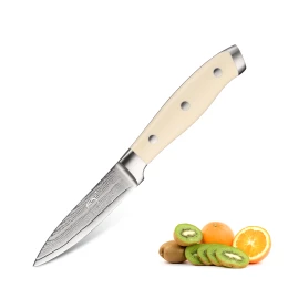 3.5 inch Damascus Steel 67 Layer VG10 Small Kitchen Knives Vegetables Paring Knife with ABS Handle