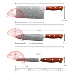 4 Pieces Damascus Steel VG10 Kitchen Knives Knife Set for Kitchen with Wooden Magnetic Knife Holder