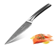 5.5 inch Exquisite Damascus Steel High Hardness Cooking Super Sharp Utility Knife with ABS Handle