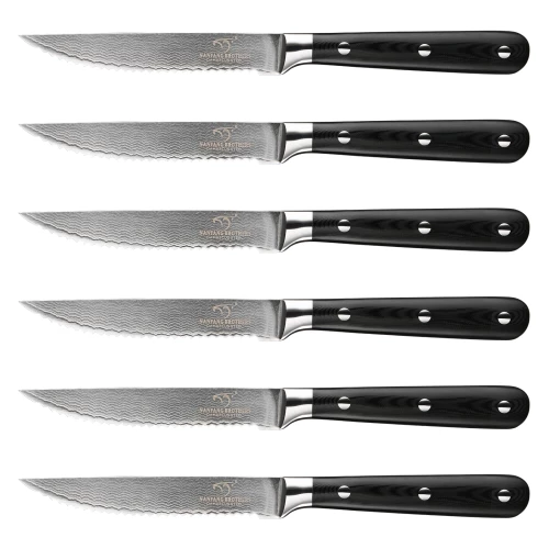 6 Pieces Damascus Steel Knife Set for Kitchen Knives Steak Knives with G10 Handle