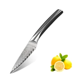3.5 inch Fruit Knife Damascus VG10 Core Forged Paring Kitchen Knives Paring Knife with ABS Handle