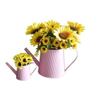 Cute Garden Supplies Flower pots  Color Kids Metal Watering Can Large Small Size