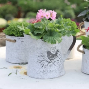 Vintage watering can metal flower pot for garden decor