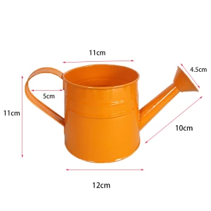 Garden watering can wholesale custom small mini cute tin galvanized watering can flowerpot planter